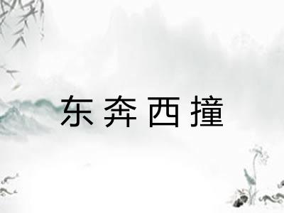 东奔西撞 东奔西撞