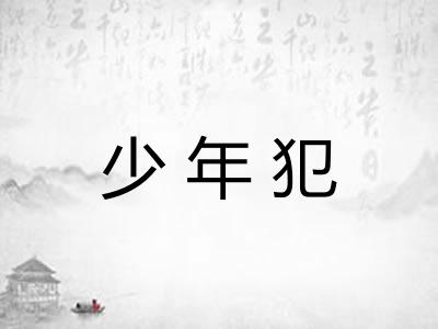 少年犯