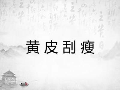 黄皮刮瘦
