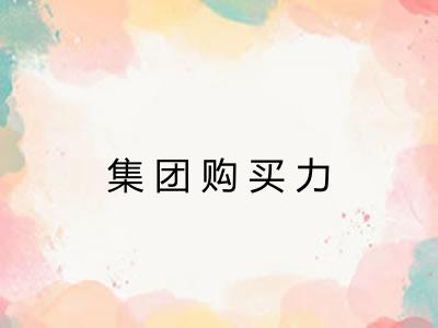 集团购买力