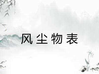 风尘物表