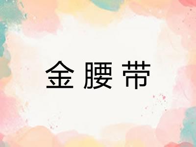 金腰带