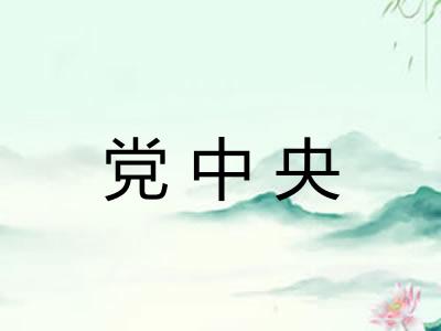 党中央