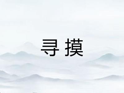 寻摸