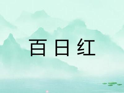 百日红