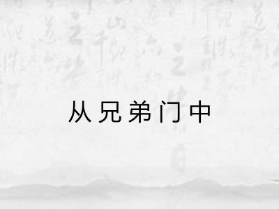 从兄弟门中
