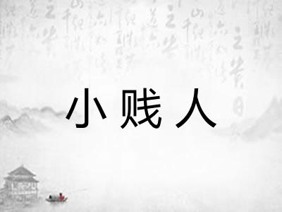 小贱人