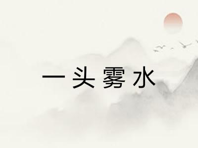 一头雾水 一头雾水