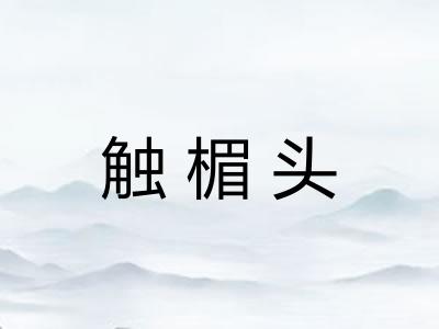 触楣头