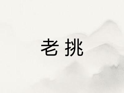 老挑
