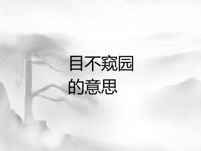 目不窥园的意思
