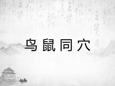 鸟鼠同穴 鸟鼠同穴