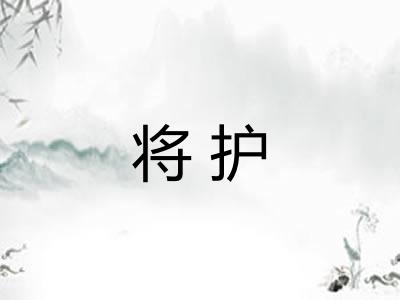 将护