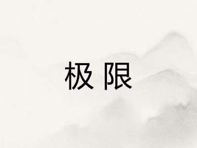 极限
