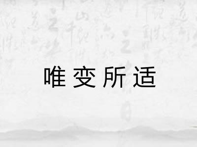唯变所适