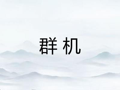 群机
