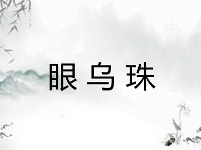 眼乌珠 眼乌珠