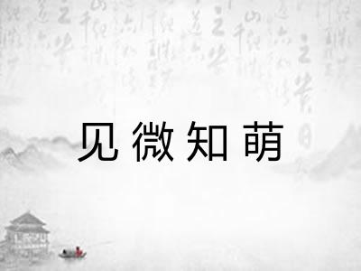 见微知萌 见微知萌