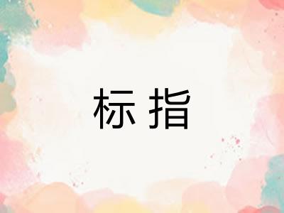 标指