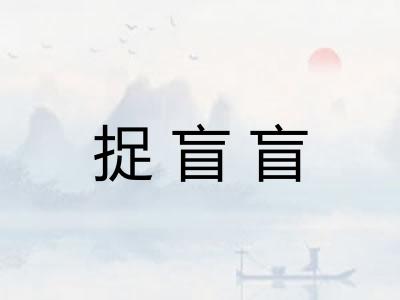 捉盲盲
