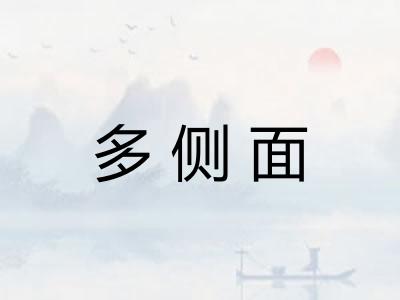 多侧面 多侧面