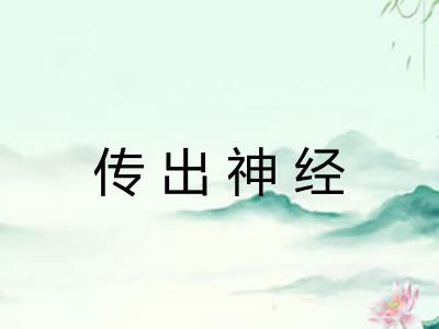 传出神经