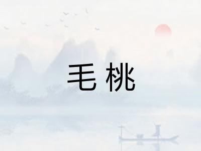 毛桃 毛桃