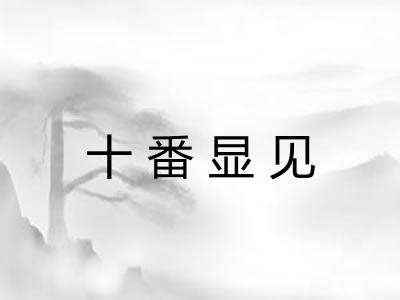 十番显见