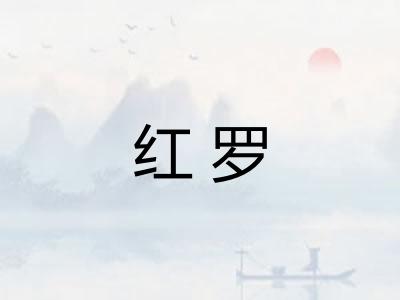 红罗 红罗