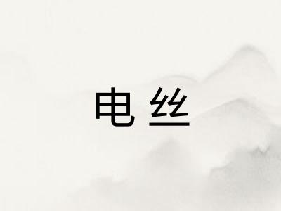 电丝