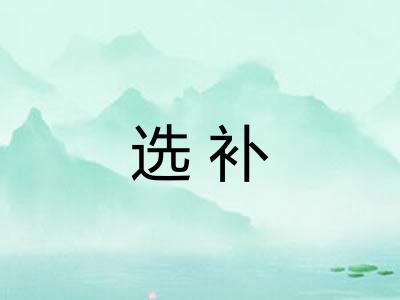 选补