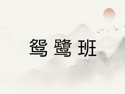 鸳鹭班 鸳鹭班