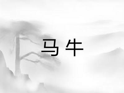 马牛