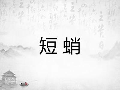 短蛸