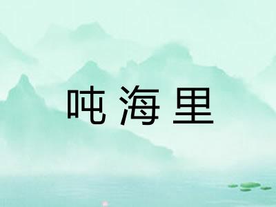 吨海里