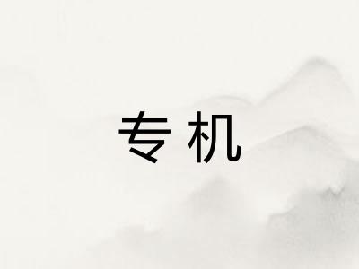 专机 专机