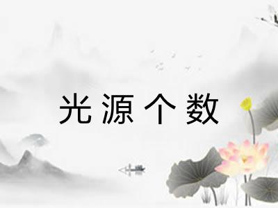 光源个数