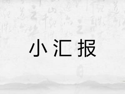 小汇报
