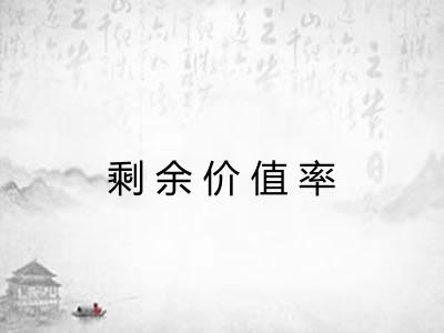 剩余价值率 剩余价值率