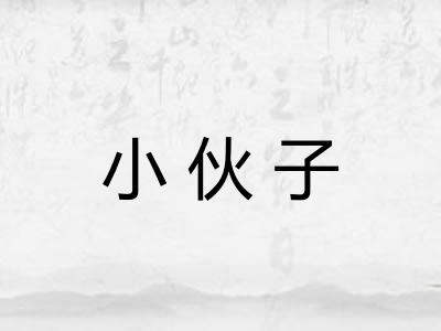 小伙子 小伙子