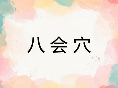 八会穴