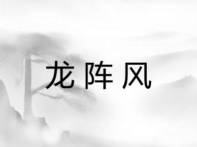 龙阵风 龙阵风