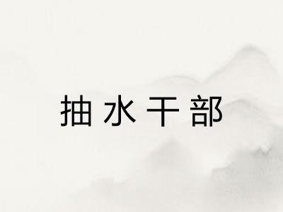 抽水干部