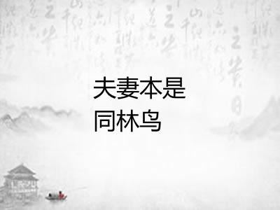 夫妻本是同林鸟 夫妻本是同林鸟