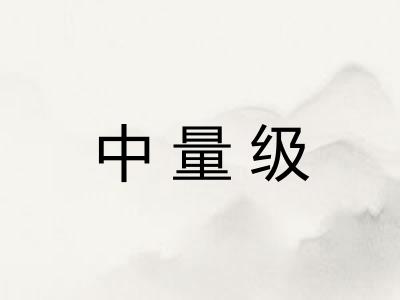 中量级