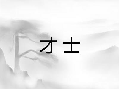 才士 才士