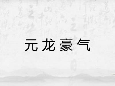 元龙豪气 元龙豪气