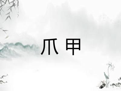 爪甲