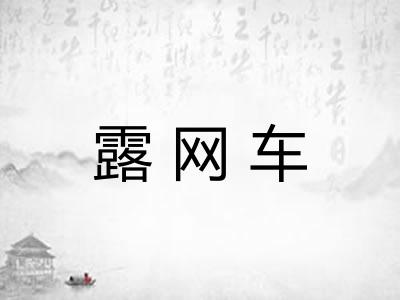 露网车 露网车