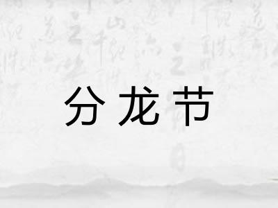 分龙节 分龙节